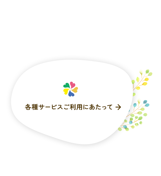 half_bnr02